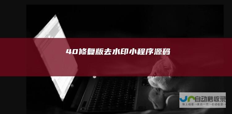 4.0修复版去水印小程序源码